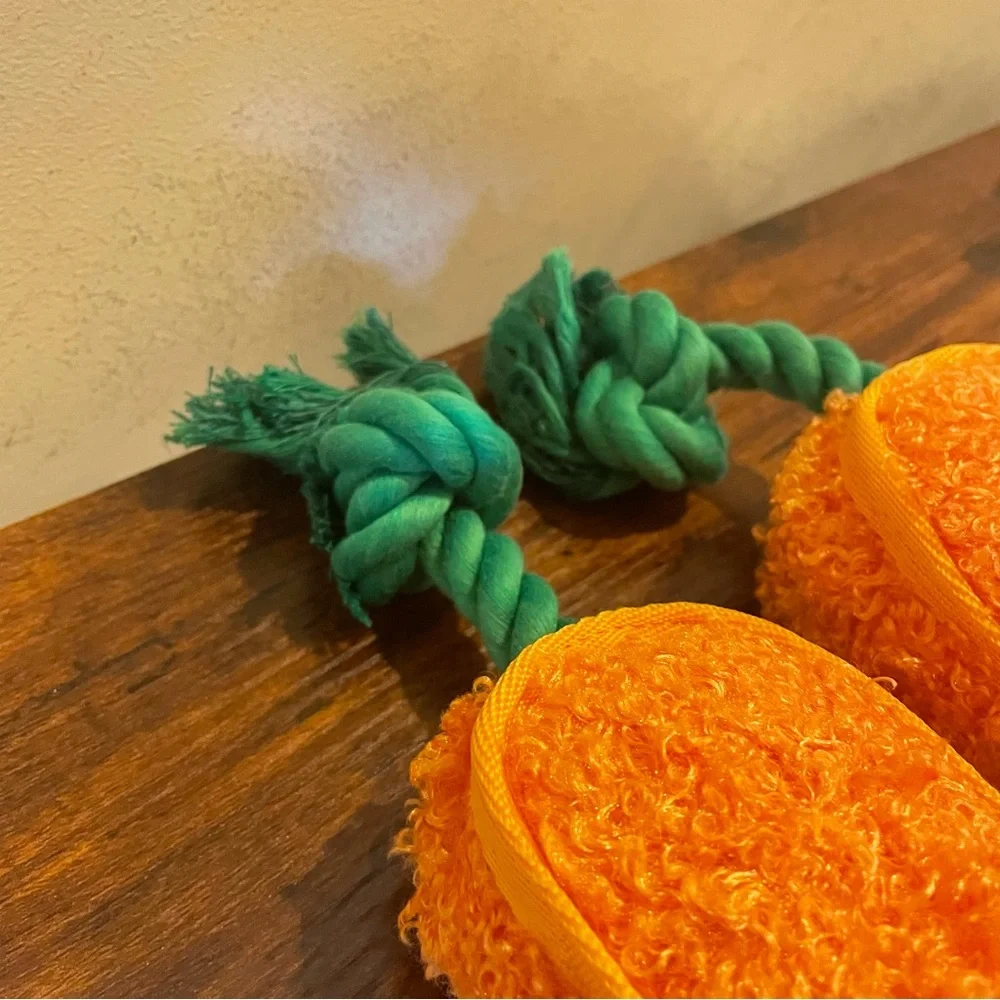 Frisco Dog Toy Carrots Set of 2 NWOT